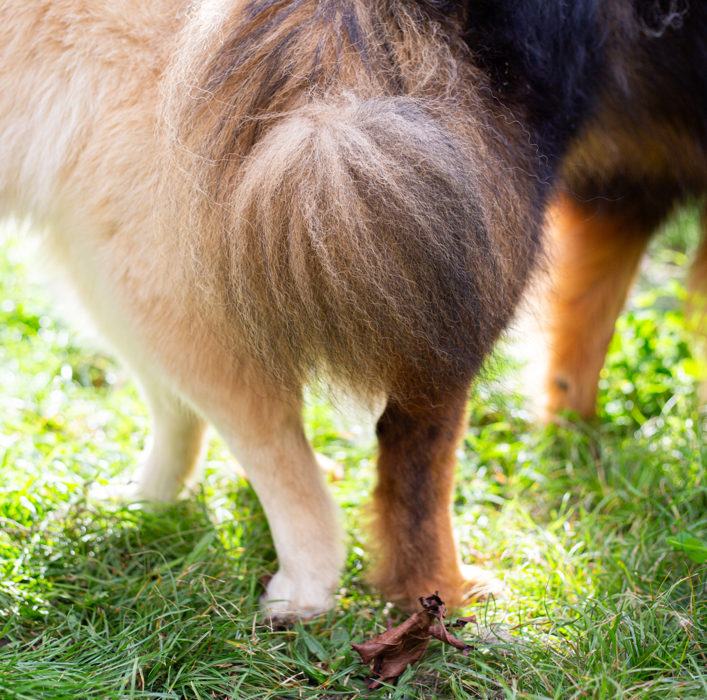La rencontre Ubee & Sensei