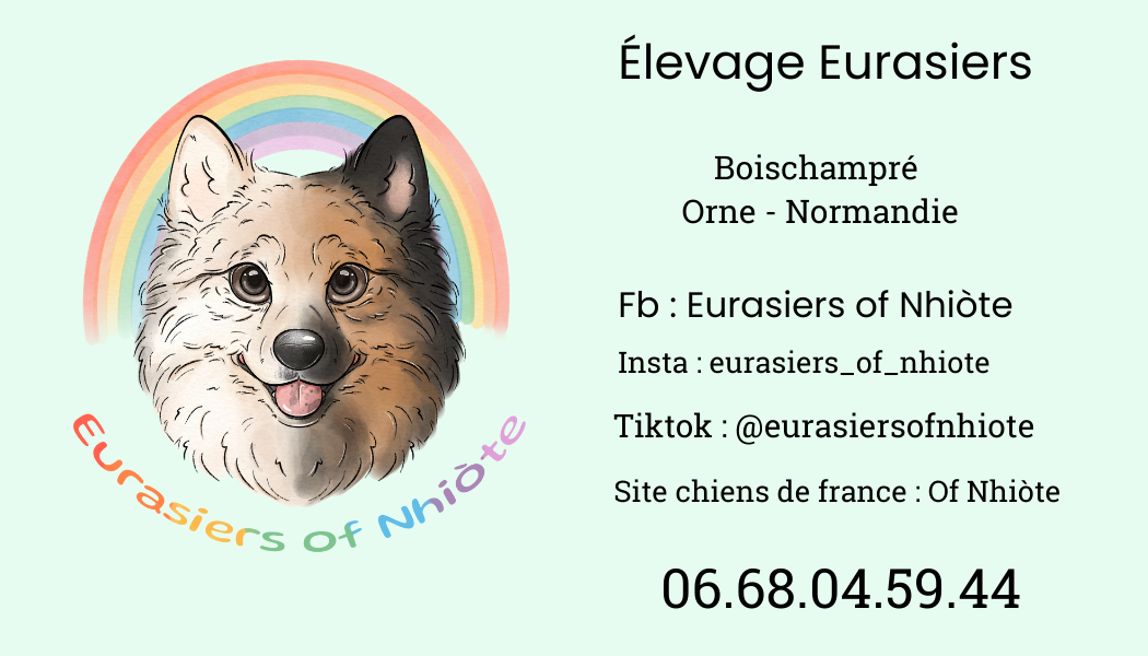 Venez découvrir notre quotidien